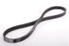 ASHIKA 112-4PK765 V-Ribbed Belts